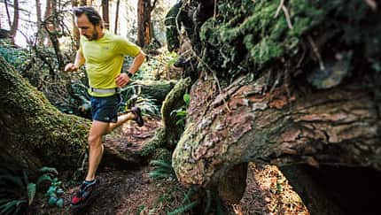 Trailrunning Touren- und Event-Tipps