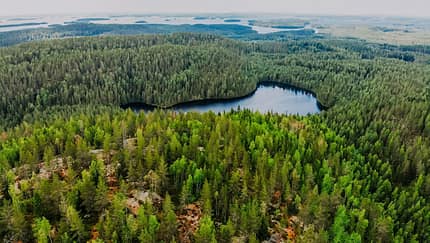Finnlands schier endlose Wälder Finnlands schier endlose Wälder