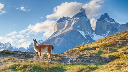 5 spannende Fakten über Patagonien 