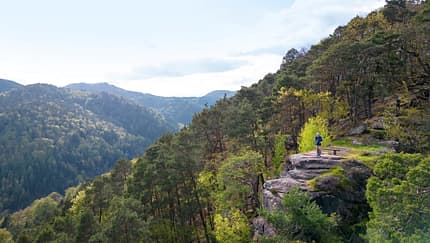 Trekkingtour Pfalz