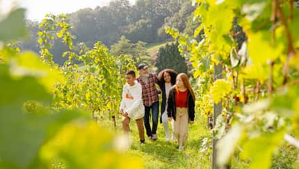 Familienziele in der Region Dresden Elbland 