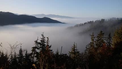 Nebel über dem Borjomi Kharagauli Nationalpark Georgien Kleiner Kaukasus Wald Wandern