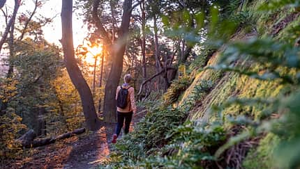 Sonnenaufgangs-Touren im Harz