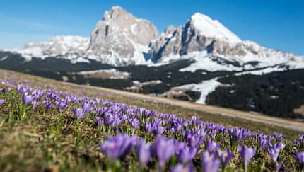 Südtirol Dolomitenregion Seiser Alm