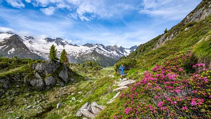 Berliner Höhenweg, Zillertaler Alpen Berliner Höhenweg, Zillertaler Alpen