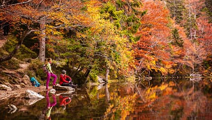 Herbstfarben im Seespiegel im Schwarzwald
