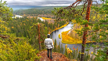 Finnland Wandern Wald Oulanka Nationalpark