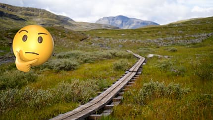 Kungsleden - Schweden - Fjell