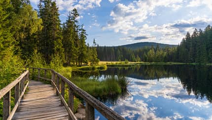 Fichtelsee im Fichtelgebirge