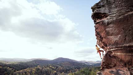 Klettern und Naturschutz in der Pfalz
