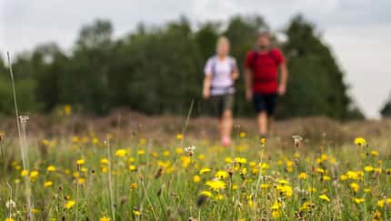 Wanderungen in der Rureifel