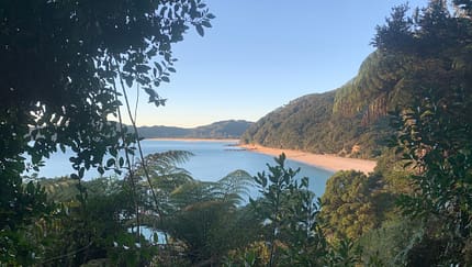 Abel Tasman Coastal Track