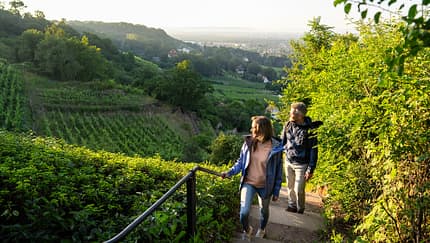RebkulTour Radebeul in der Region Dresden Elbland, Deutschland