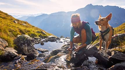 Alpencross mit Hund - Abenteuer - Buchtipp
