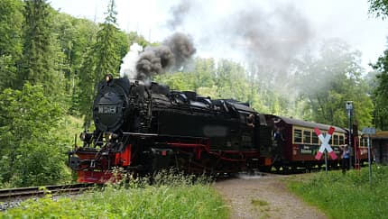 Kulinarische Entdeckungen und außergewöhnliche Unterkünfte in den Nationalen Naturlandschaften von Thüringen
