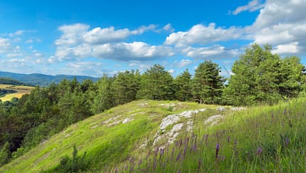 Kulinarische Entdeckungen und außergewöhnliche Unterkünfte in den Nationalen Naturlandschaften von Thüringen Kulinarische Entdeckungen und außergewöhnliche Unterkünfte in den Nationalen Naturlandschaften von Thüringen