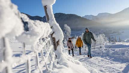 Winter,Naturpark Ammergauer Alpen,Wandern Naturpark Ammergauer Alpen