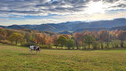Diemelsteig Weitwanderung Trekking Sauerland Hessen Deutschland Wandern Mehrtagestour See Diemelsee Diemeltalsperre Staumauer