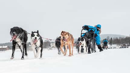 Fjällräven Polar Philip