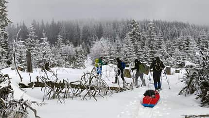 Wintertour im Bayerischen Wald un in Tschechien - Schneeschuhe - Pulka