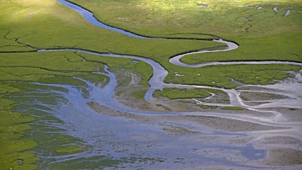 Luftbild von Prielen in einer Salzwiese im Nationalpark Niedersächsisches Wattenmeer