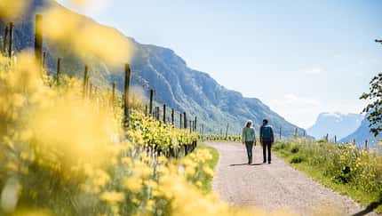 Südtirols Süden Italien Alpen Wein Radfahren Berge Wandern Urlaub