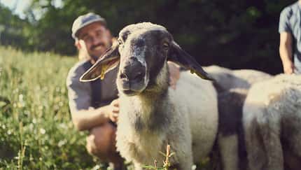 Green Issue: Die bayerische Schuhmarke Doghammer setzt auf ungewöhnliche Stoffe wie Kork und Wolle alter Schafrassen. Green Issue: Die bayerische Schuhmarke Doghammer setzt auf ungewöhnliche Stoffe wie Kork und Wolle alter Schafrassen.