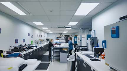 Green Issue Primaloft