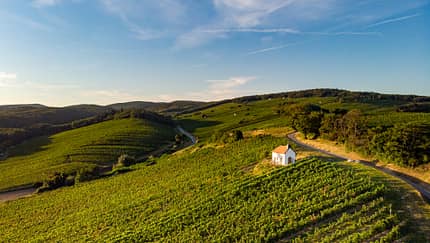 Drohne, Franziskuskapelle, Landschaft, Luftaufnahme, Natur, Neckenmarkt, Weingarten Burgenland Tourismus