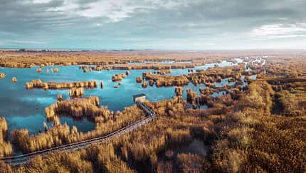 Neusiedler See Neusiedler See