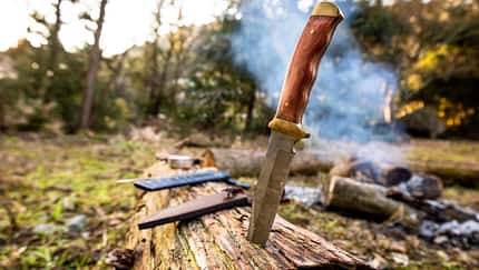Messer im Baumstamm, Lagerfeuer, Bushcraft Messer im Baumstamm, Lagerfeuer, Bushcraft