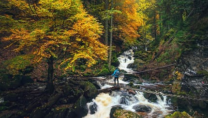 Mittelgebirge Pohorje, Slowenien - Wandern im Herbst Mittelgebirge Pohorje, Slowenien - Wandern im Herbst