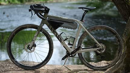 Canyon Grizl