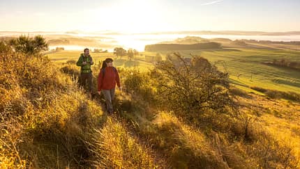 Rother Kopf bei Müllenborn, Vulkaneifel im Herbst Rother Kopf bei Müllenborn, Vulkaneifel im Herbst
