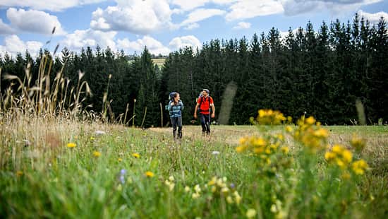 Trekking im Frankenwald 