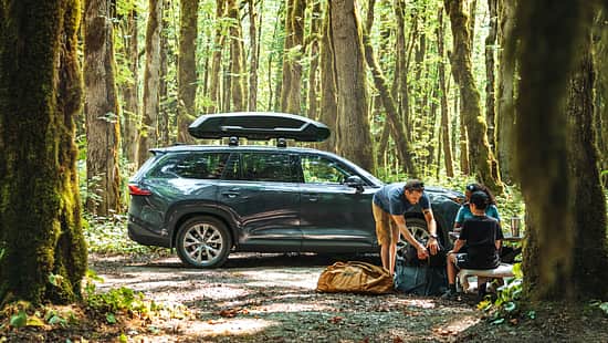Thule Force 3 Dachbox für das Auto