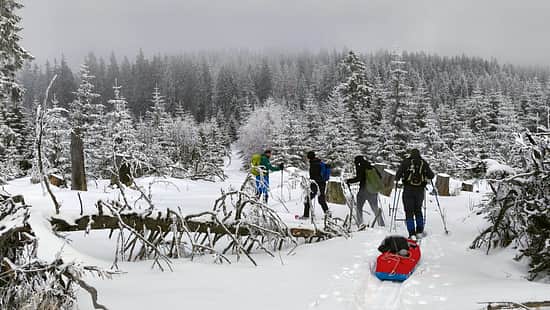 Wintertour im Bayerischen Wald un in Tschechien - Schneeschuhe - Pulka
