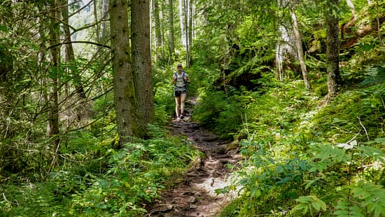 Der Querweg im Schwarzwald