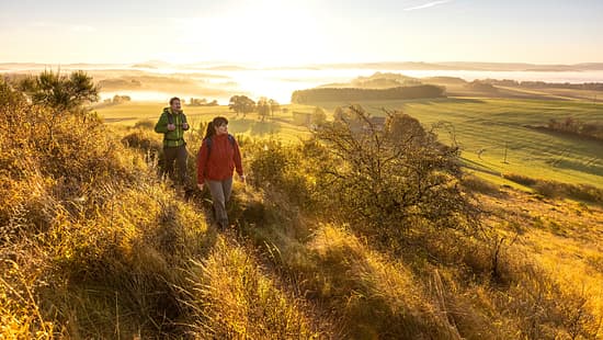 Rother Kopf bei Müllenborn, Vulkaneifel im Herbst