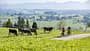 Tourenrad Allgäu Tourenrad Allgäu