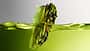 ACG Picklejus ACG Picklejus