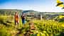 Advertorial Montagnes du Jura Juragebirge Ain Doubs Frankreich Sommer Wandern Radfahren Slow Tourism
Randonnée sur l'Echappée Jurassienne - Arbois Advertorial Montagnes du Jura Juragebirge Ain Doubs Frankreich Sommer Wandern Radfahren Slow Tourism
Randonnée sur l'Echappée Jurassienne - Arbois