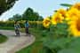 OD 0313 Radfahren Fahrrad radtouren radwanderwege frühjahr frühling