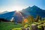 Adelboden: Bergpanorama mit Wald