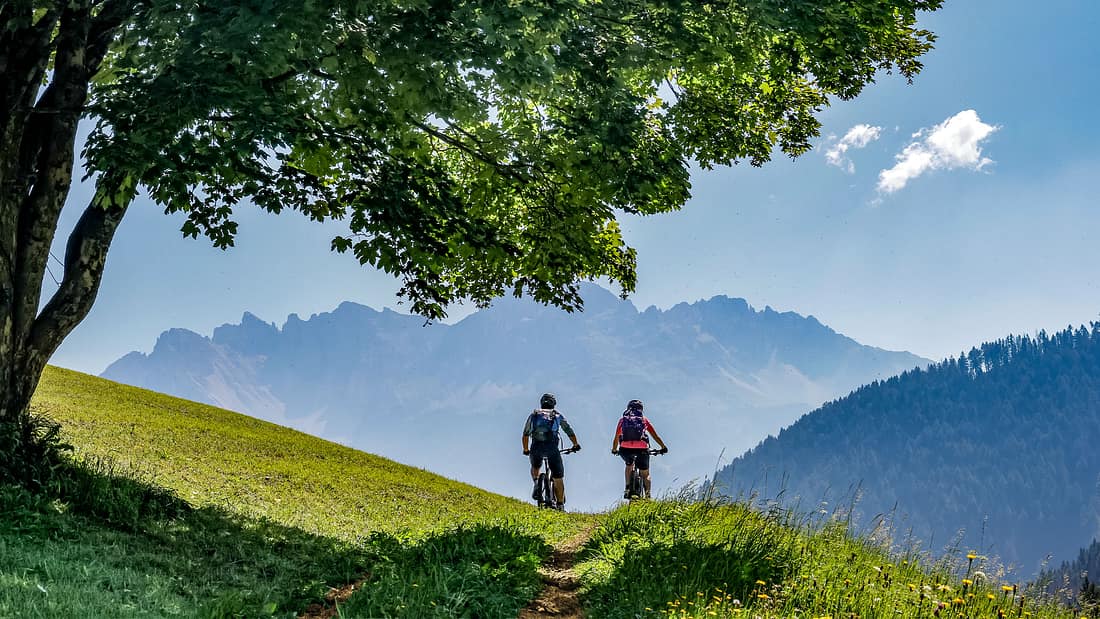 rennrad karton Bikeflip Box Fahrradversandkarton für Rennräder, Trial, BMX und Kinderfahrräder, Stabile Wiederverwendbare Karton, Schneller Aufbau für Reisen und Im Moment herrscht noch ergotec hook 3 Optionen:Gepäckträger / Rücklicht / 2 Schlingen Expander