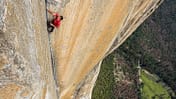 kl-free-solo-honnold-film-01_Alex-Honnold-klettert-enduro-corner-freerider-El-Capitan-Free-Solo-c-National-GeographicJimmy-Chin-1 (jpg)