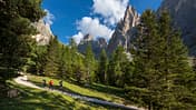 od-0218-dolomiten-langkofel-5 (jpg)