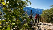 OD 1009 Vinschgau Tour 1