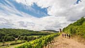 od-2016-rheinlandpfalz-rheinhessen-Hiwweltour Heideblick2 (jpg)