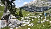 OD1015-Dolomiten-4 (jpg)